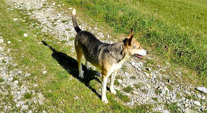 Agriturismo Podernuovo