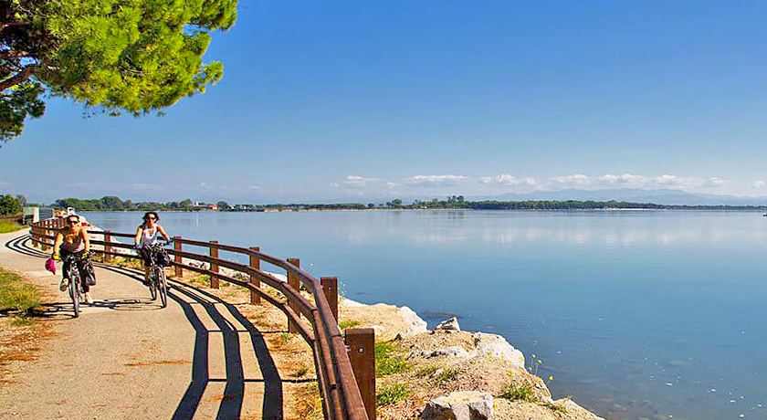 BELVEDERE PINETA