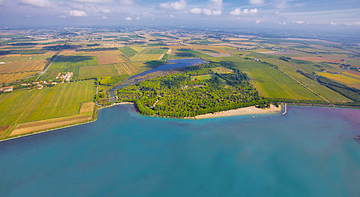 BELVEDERE PINETA