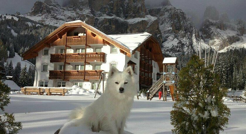 Hotel Lupo Bianco