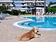 Hotel Marina Pet Lovers