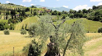 Struttura Grand Hotel Impero Spa & Resort