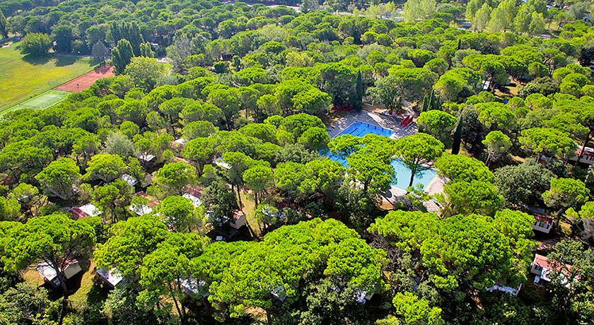 BELVEDERE PINETA