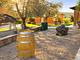 Agriturismo Galeazzi