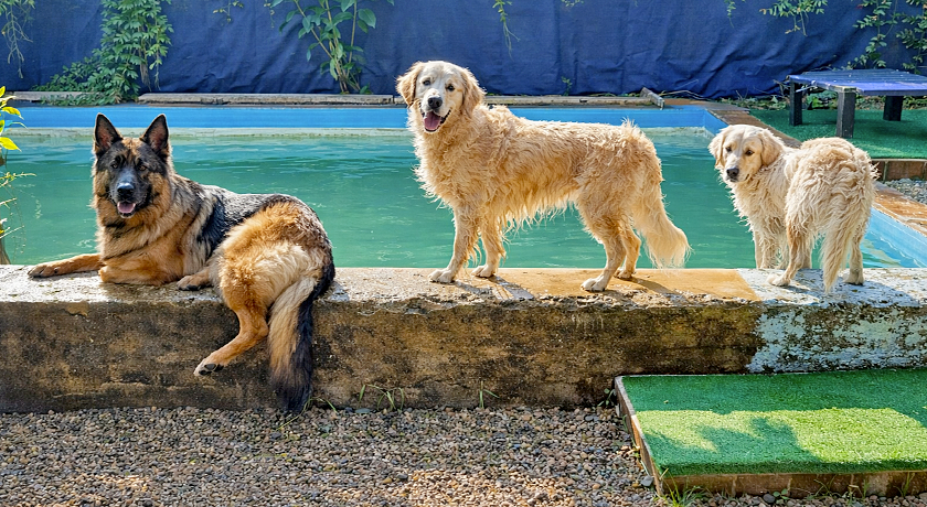 Agriturismo  Gravanella 
