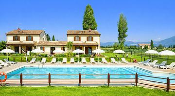 Le Rondini di Francesco di Assisi