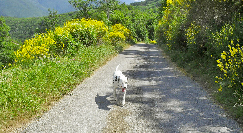 AGRITURISMO "SANTA SERENA"