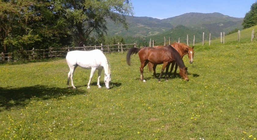 Mogginano Agriturismo Biologico