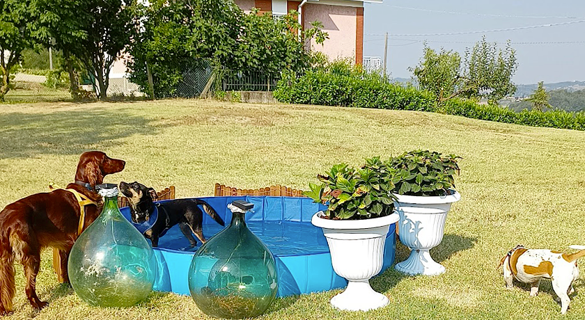 CasaBella 22 bed and breakfast- coccole & code