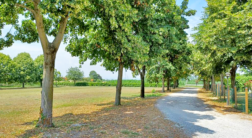 alloggio agrituristico zambon