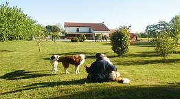 Agriturismo il Podere Vedelago