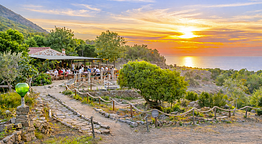 Agriturismo Amandolo