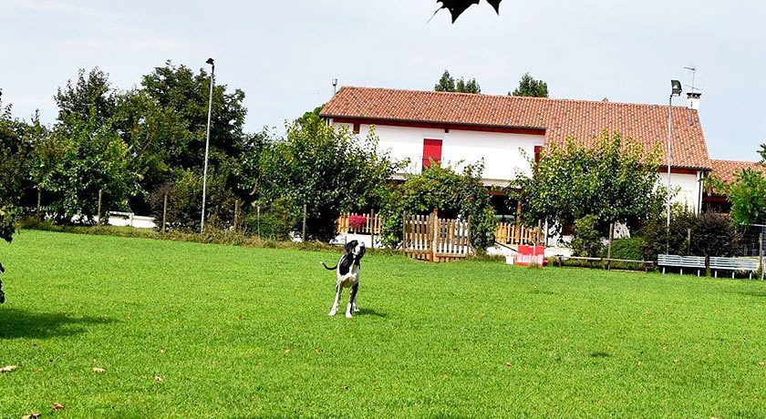 Agriturismo il Podere Vedelago