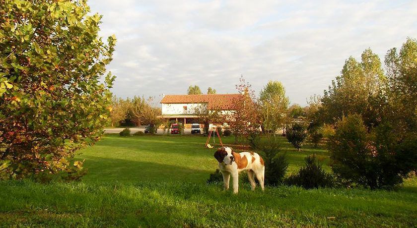 Agriturismo il Podere Vedelago