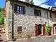 Raperonzolo Cetona