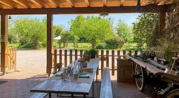 Agriturismo il Podere Vedelago