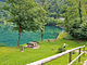 HOTEL AL LAGO