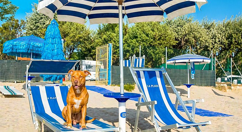 Camping Surabaja-La Playa