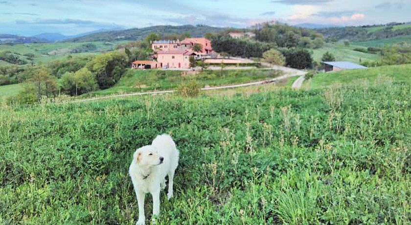 Agriturismo San Lorenzo