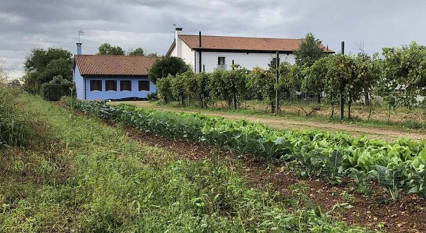 Agriturismo il Podere Vedelago