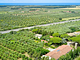 Agriturismo Antichi Palmenti