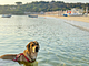 Case Vacanza Marina 