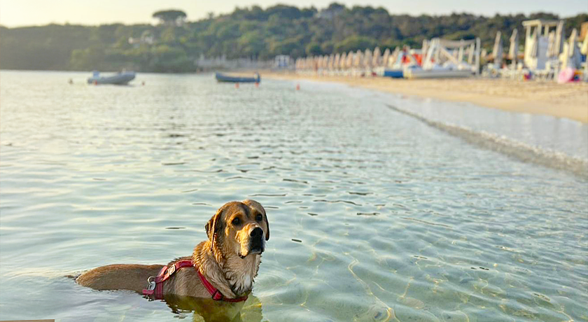 Case Vacanza Marina 