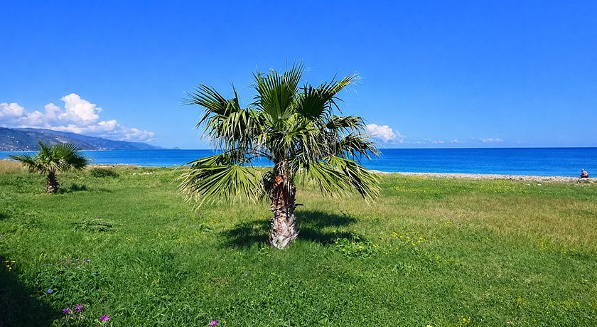 Atelier sul Mare - Suite d'Autore