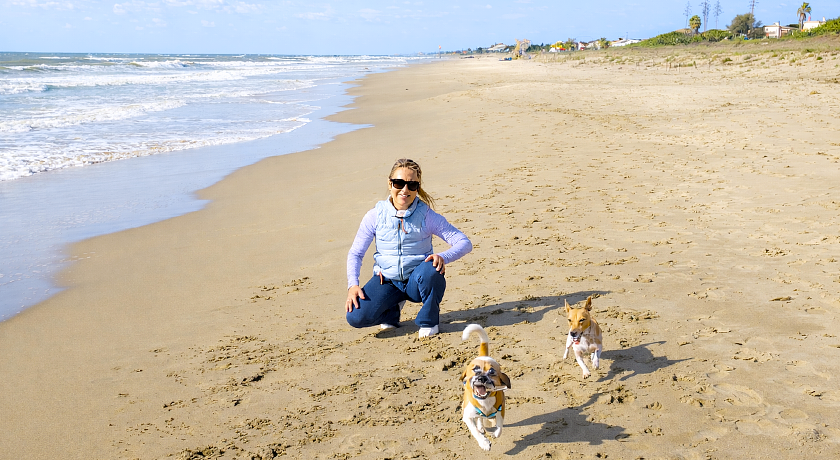 Dog Friendly Sea House