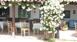 LOCANDA DEL SORVO