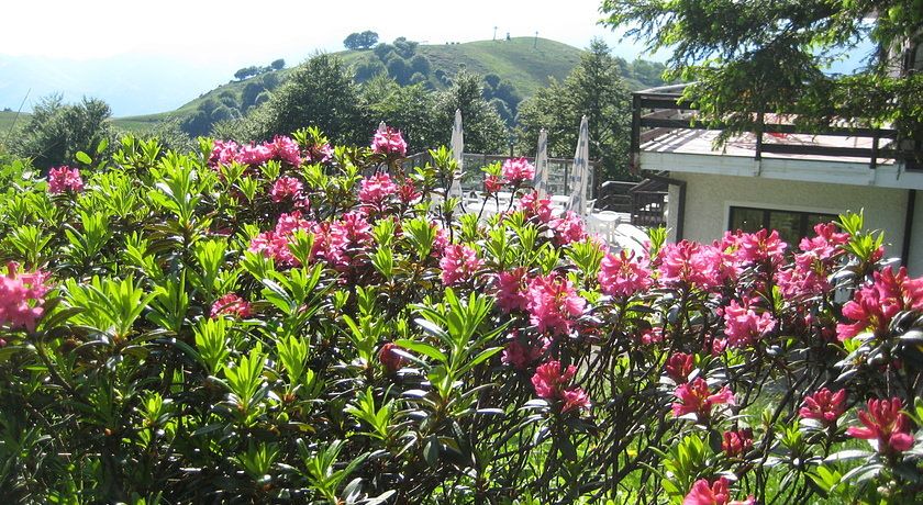 ALBERGO CASA DELLA NEVE