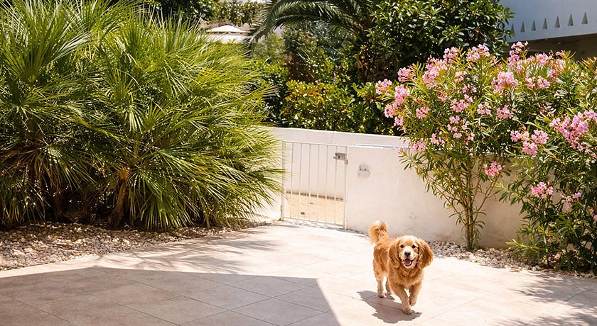 Case Vacanza sul Mare a Gallipoli