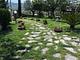 I Giardini di Eidos 2.0