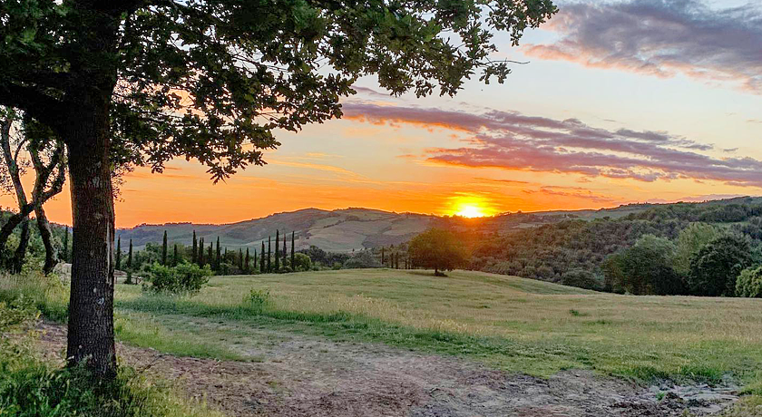 Agriturismo Tenuta Orgiaglia 