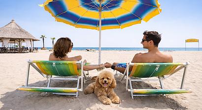 Struttura Hotel Mediterraneo