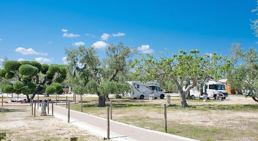 Brezza Tra gli Ulivi