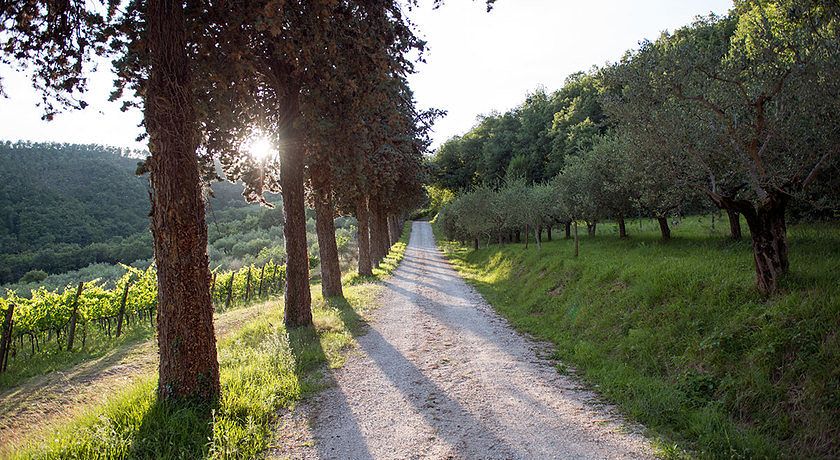 Agriturismo Colle Pu