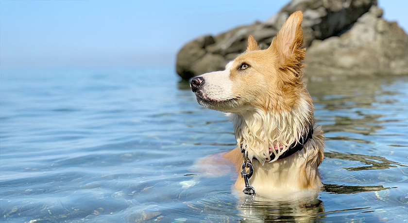 Miramare - Village • Apartments • Camping