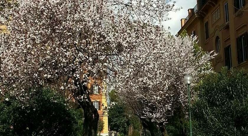 Bed & Breakfast A Casa di Lia a Roma