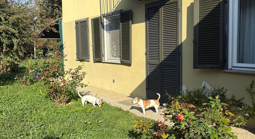 Gea & Penny House