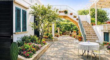 IL SORRISO DEGLI ULIVI