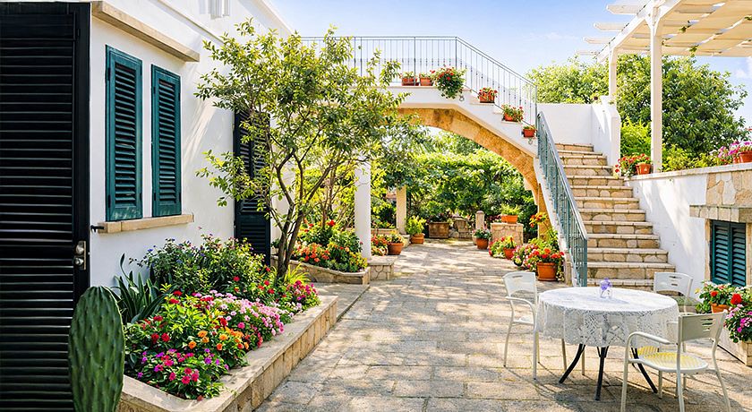 IL SORRISO DEGLI ULIVI