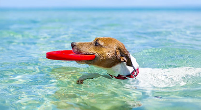 Struttura Vascellero Club Resort