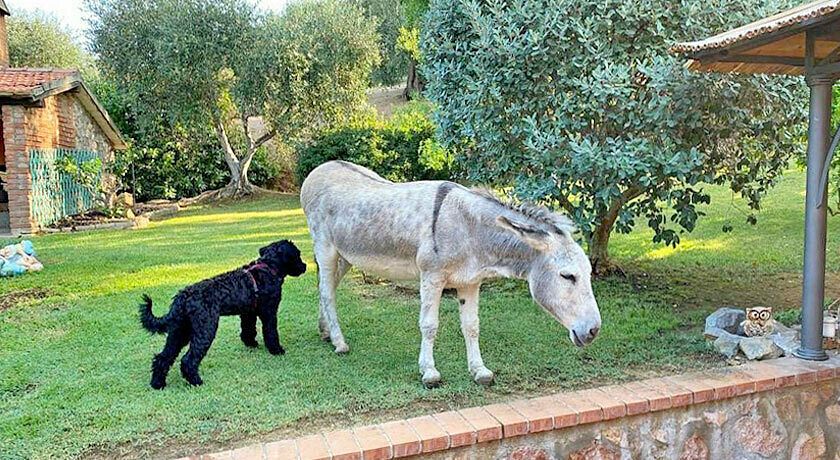 AGRITURISMO GLI ARCHI