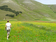 AGRITURISMO "SANTA SERENA"