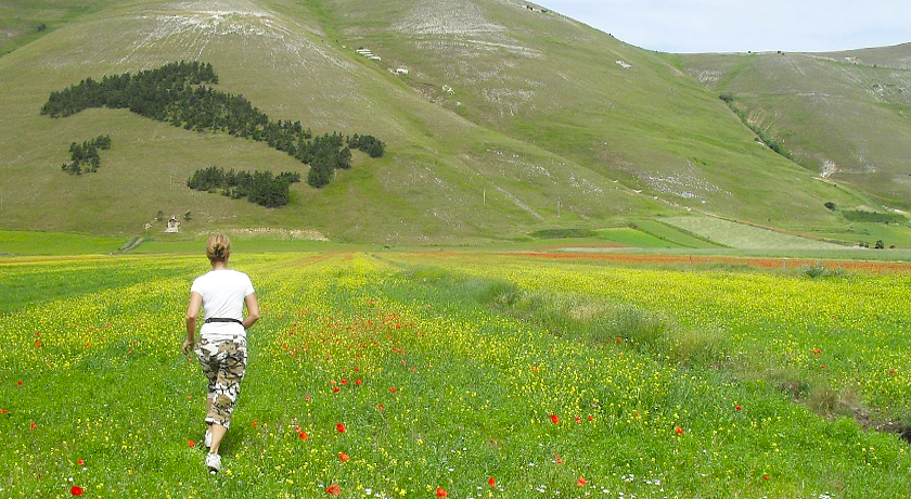 AGRITURISMO "SANTA SERENA"