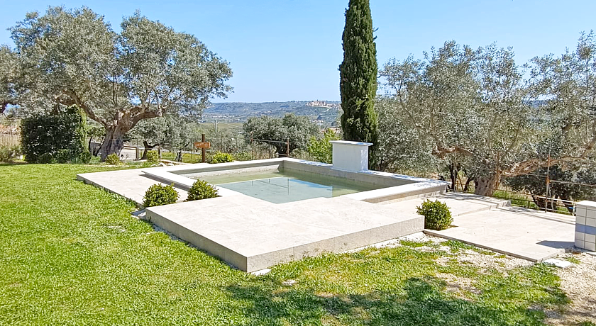 Fiori di Campo