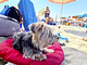 Hotel Sole e Mare