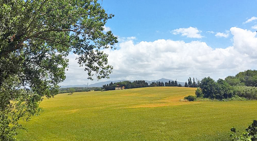 Podere La Pace
