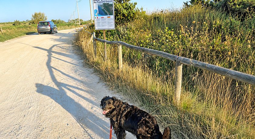 Tenuta Li Fani